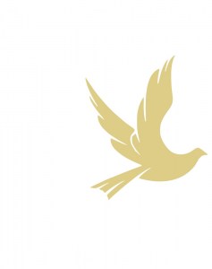 Άρωμα Dovellina